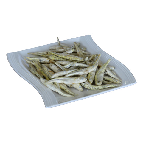 Ährenfische – Ansicht 2