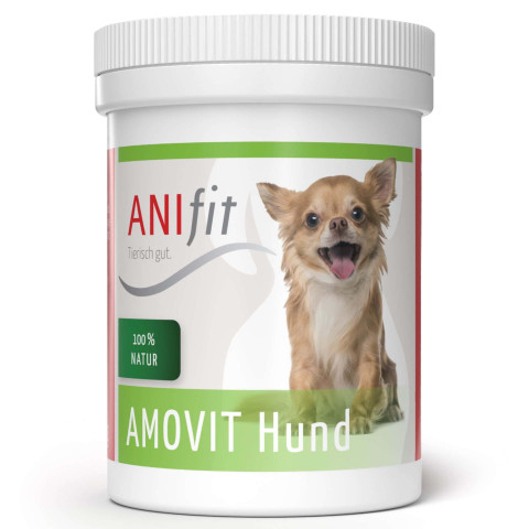 Amovit Hund
