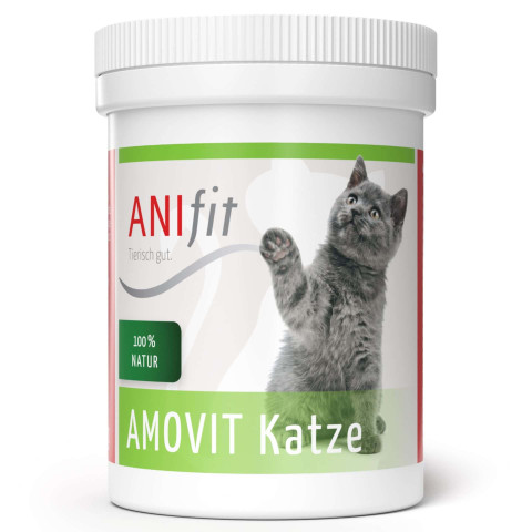 Amovit Katze