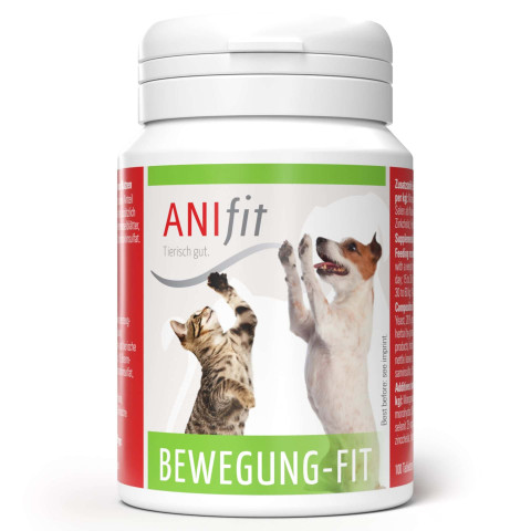 Bewegung-Fit