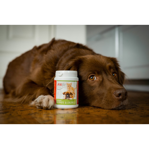 Bierhefe & Chlorella – Ansicht 3