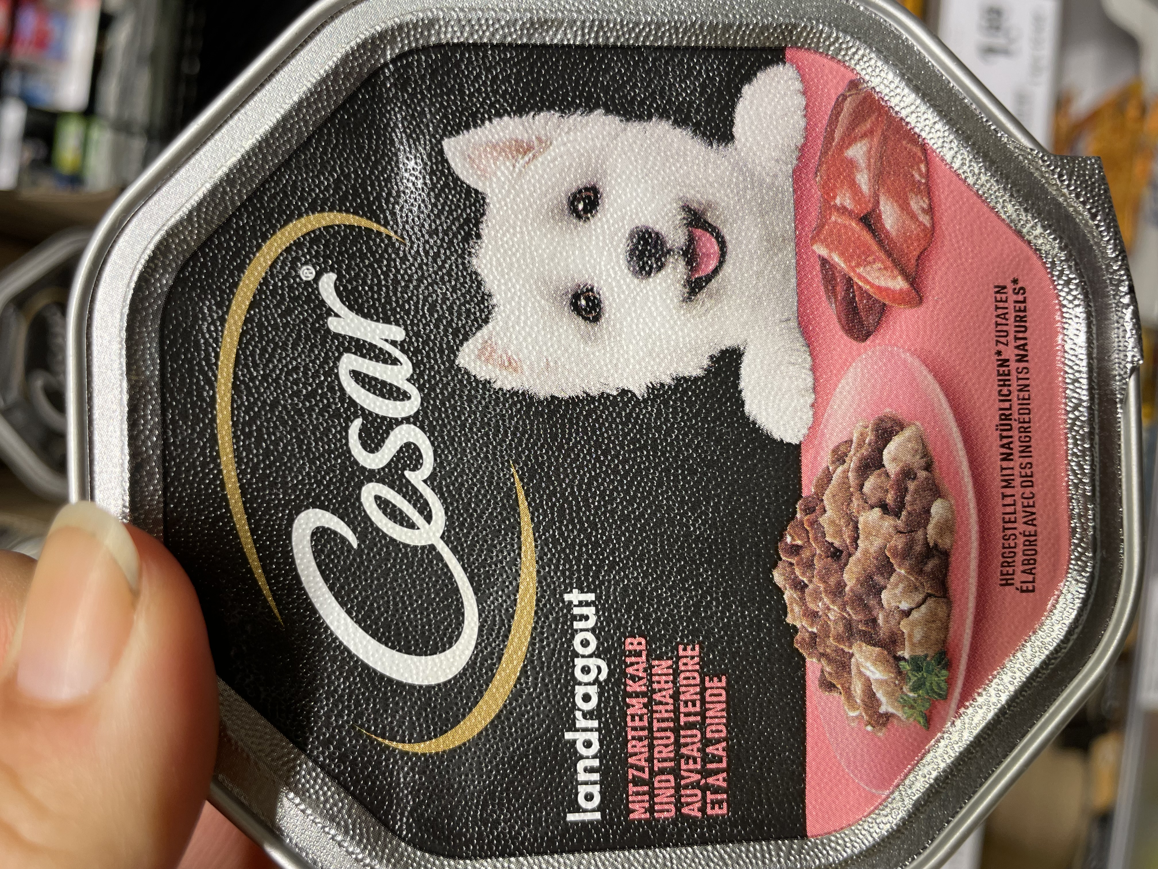 Cesar Landragout mit zartem Kalb und Truthahn