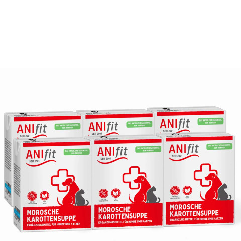 Morosche Karottensuppe