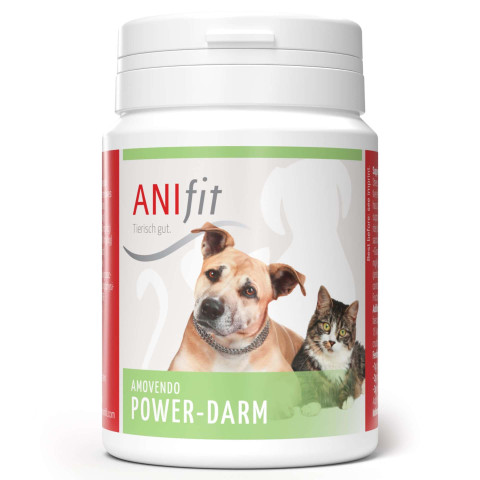 Power-Darm