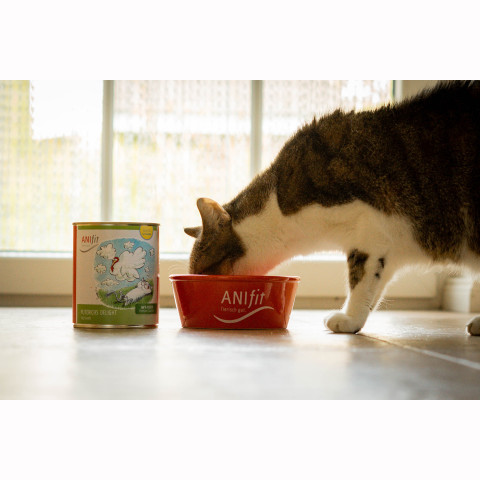 Puterichs Delight – Ansicht 3