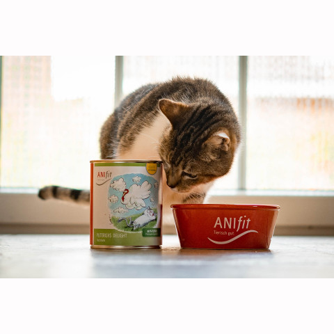 Puterichs Delight – Ansicht 5