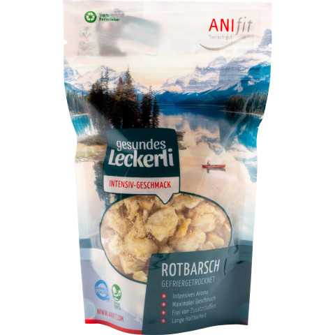 Rotbarsch