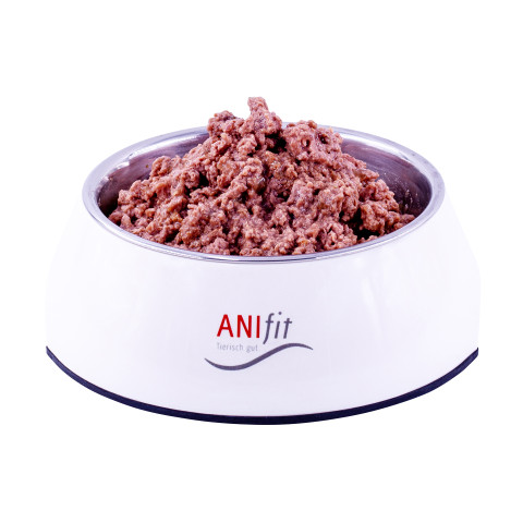 RyCat Bio-Ente – Ansicht 2