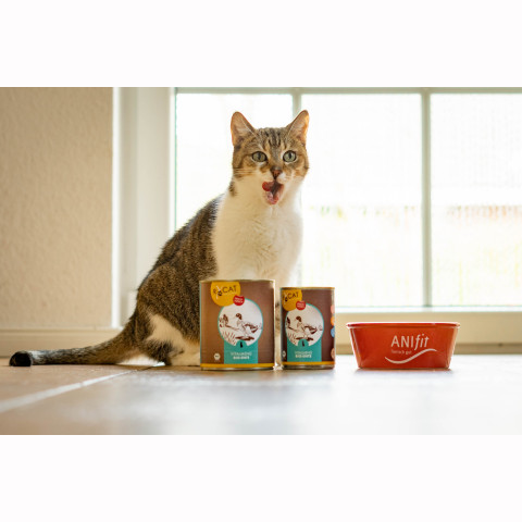 RyCat Bio-Ente – Ansicht 3