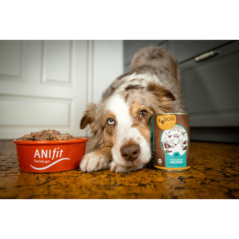 RyDog Vitalmenü Bio-Rind – Ansicht 5
