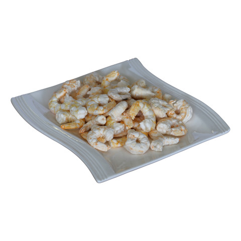 Shrimps – Ansicht 2