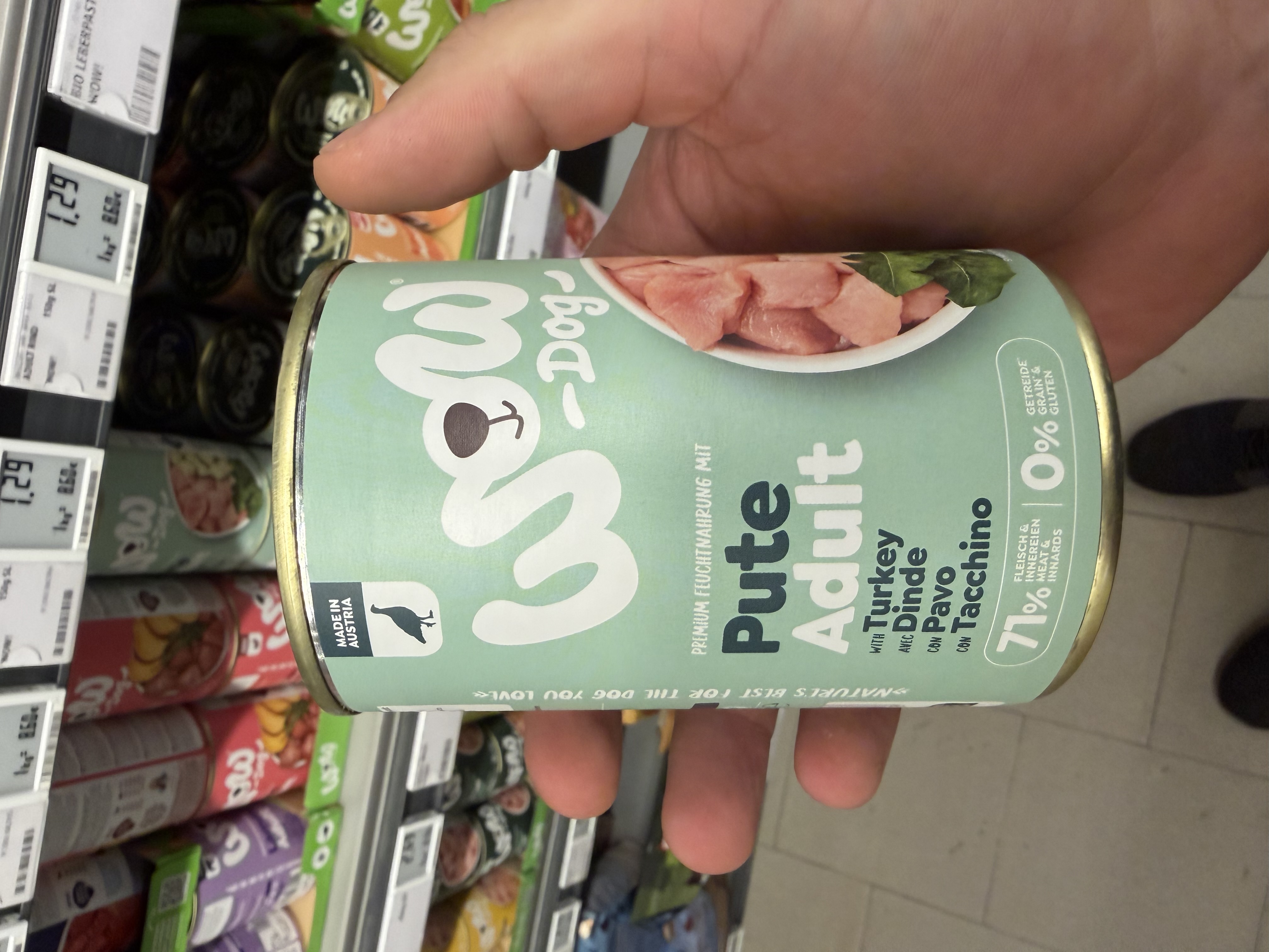 WOW Pute Adult